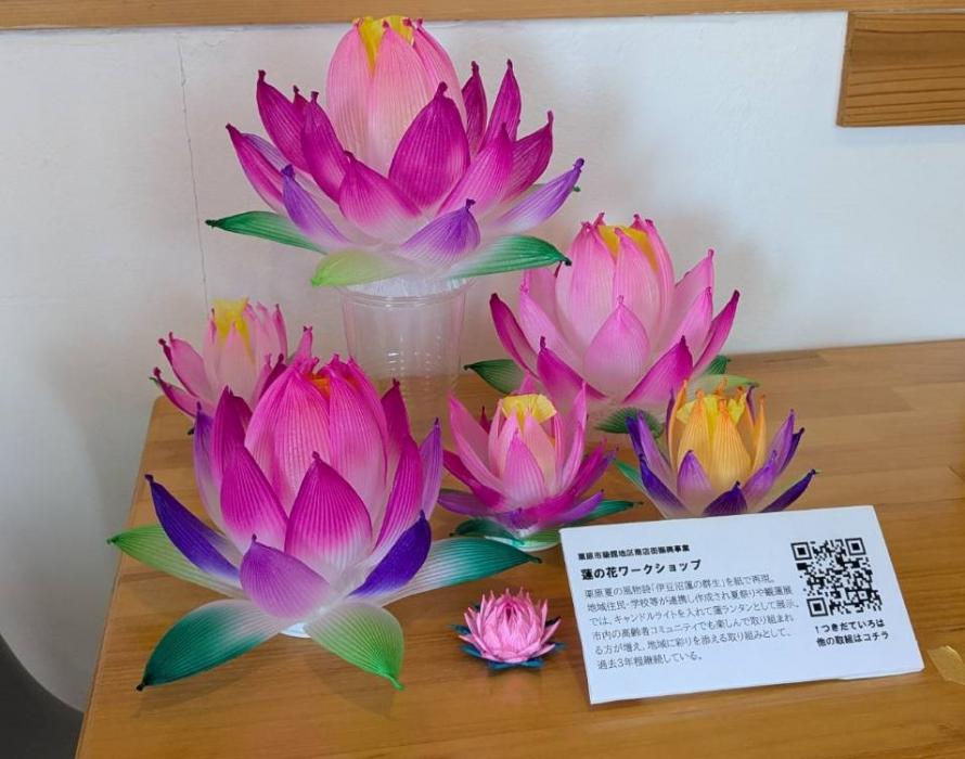 No.4_つきだていろは_蓮の花