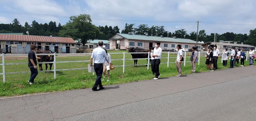 2022o-punnkyannpasu_4