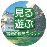 見る・遊ぶ 宮城の観光スポット